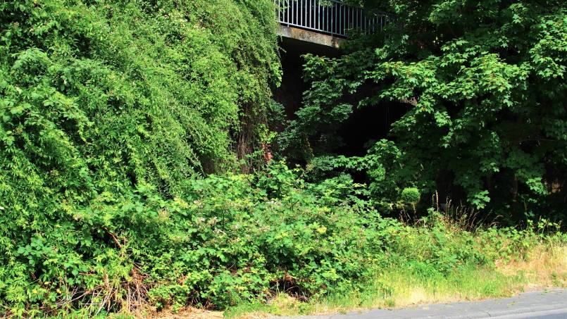 10. Oktober 2025: 84. MEC 01 Medienabend - Hannes Holz-Koberg: "Odenwälder Lieschen", die Gersprenztalbahn von Reinheim nach Reichelsheim einst und jetzt - Foto: Hannes Holz-Koberg