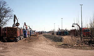 9 LKW laden gleichzeitig - Foto: Volker Seidel, Münchberg