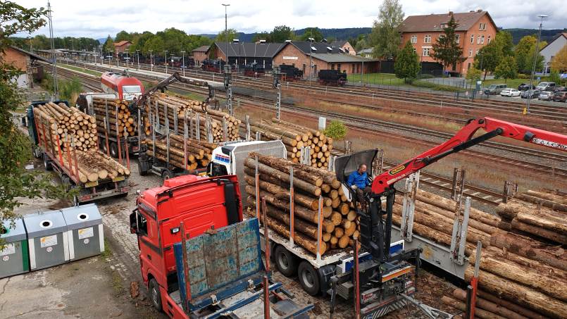 223 031 mit Holz in NNE - Neuenmarkt-Wirsberg Ladegleis - Foto: 