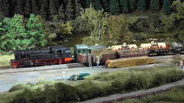 Eine 93er kommt mit einem Güterzug in Hölle zum Stehen - Foto: Volker Seidel, Münchberg